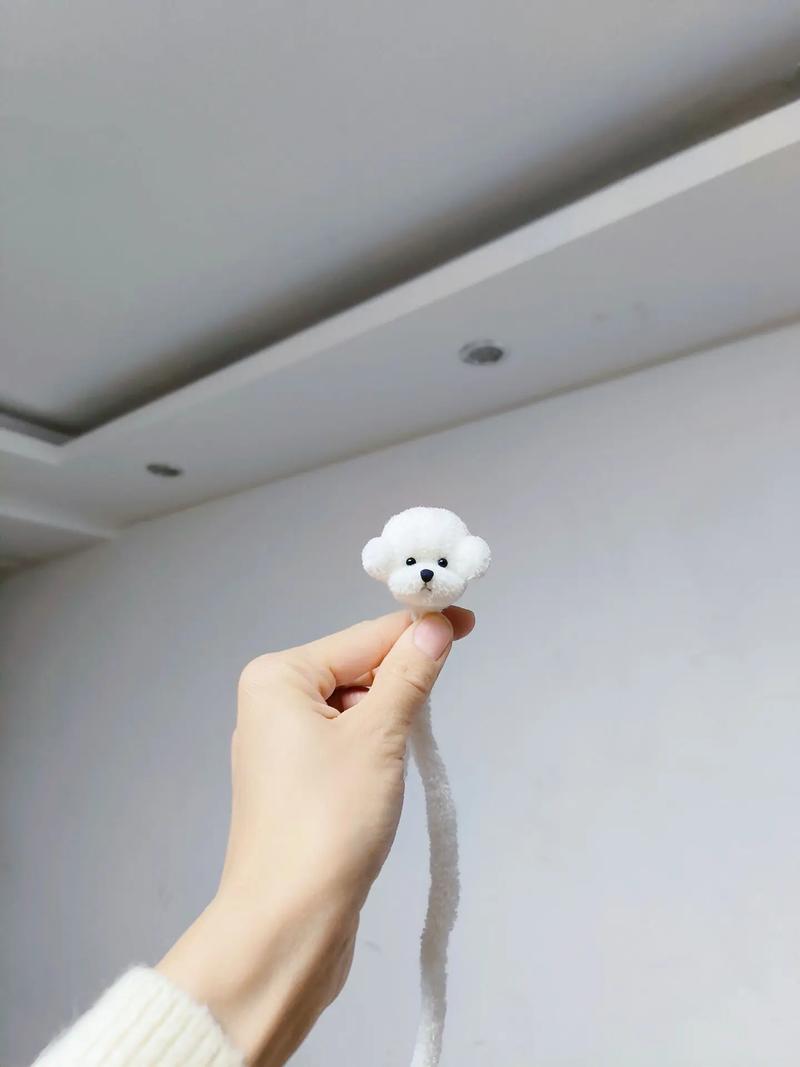 如何自制狗狗玩具,如何自制狗狗玩具教程?-第2张图片-后鲨宠物 如何自制狗狗玩具,如何自制狗狗玩具教程?-第2张图片-后鲨宠物