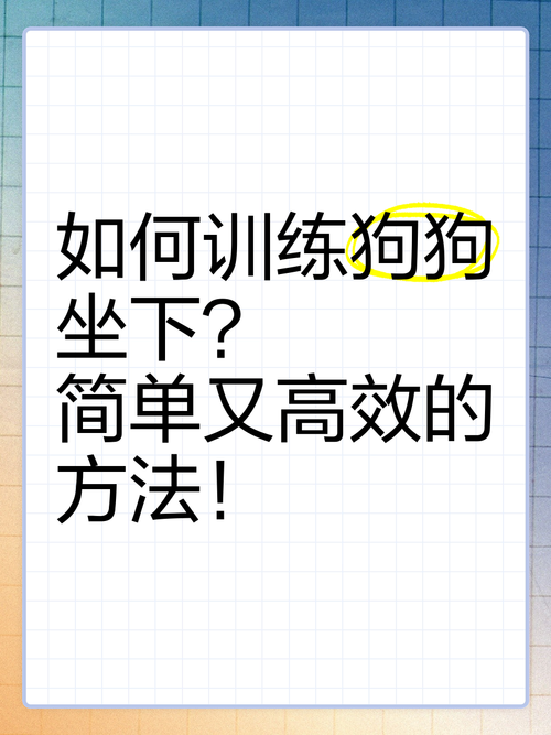 怎么让狗狗坐下_怎么让狗狗坐下趴下-第5张图片-后鲨宠物 怎么让狗狗坐下_怎么让狗狗坐下趴下-第5张图片-后鲨宠物