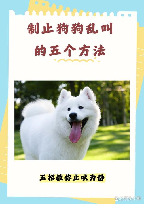 怎样才能让狗狗不叫_怎样让狗狗不叫唤-第3张图片-后鲨宠物 怎样才能让狗狗不叫_怎样让狗狗不叫唤-第3张图片-后鲨宠物