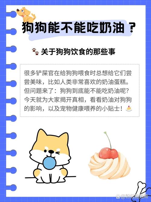 狗狗能吃饼干吗_狗狗能吃饼干吗 泰迪-第5张图片-后鲨宠物 狗狗能吃饼干吗_狗狗能吃饼干吗 泰迪-第5张图片-后鲨宠物