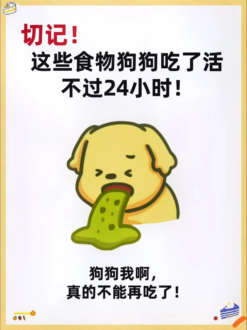 狗狗能吃饼干吗_狗狗能吃饼干吗 泰迪-第6张图片-后鲨宠物 狗狗能吃饼干吗_狗狗能吃饼干吗 泰迪-第6张图片-后鲨宠物