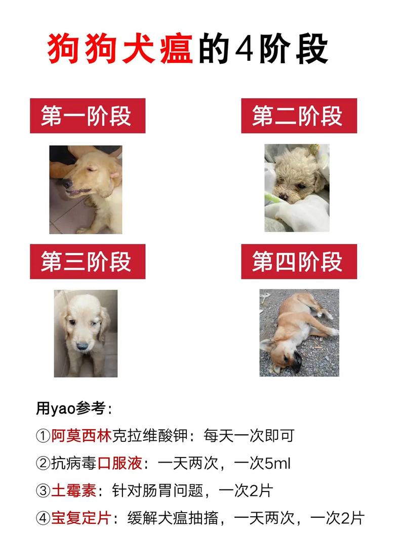 狗狗得犬瘟的原因_狗狗为啥得犬瘟-第5张图片-后鲨宠物