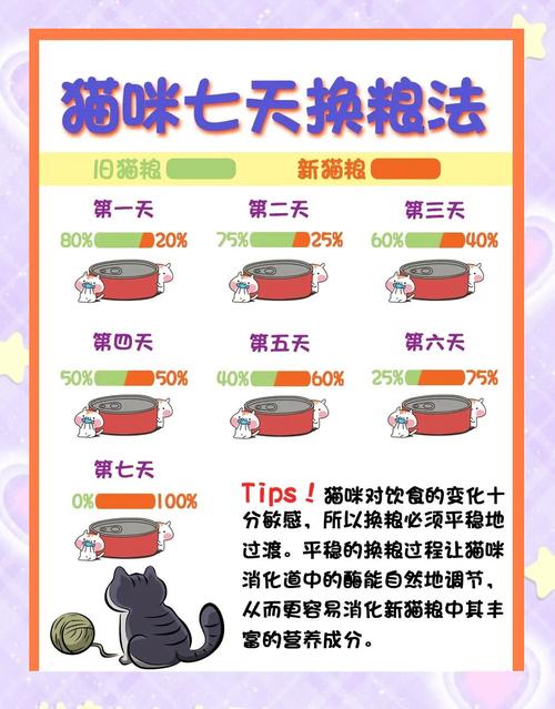 猫咪怎么换猫粮,猫咪换猫粮后不吃怎么办?-第4张图片-后鲨宠物 猫咪怎么换猫粮,猫咪换猫粮后不吃怎么办?-第4张图片-后鲨宠物