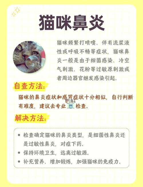 猫咪为什么打喷嚏,猫咪为什么打喷嚏??-第3张图片-后鲨宠物 猫咪为什么打喷嚏,猫咪为什么打喷嚏??-第3张图片-后鲨宠物