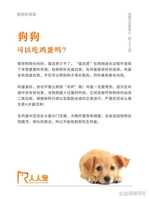 狗狗拉稀可以吃蛋黄吗,狗狗拉稀能不能吃蛋黄-第1张图片-后鲨宠物 狗狗拉稀可以吃蛋黄吗,狗狗拉稀能不能吃蛋黄-第1张图片-后鲨宠物
