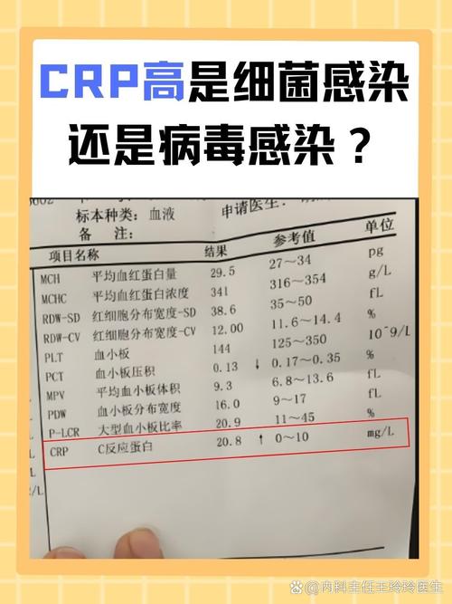 狗狗crp高100有危险吗_狗狗crp很高是什么原因-第3张图片-后鲨宠物 狗狗crp高100有危险吗_狗狗crp很高是什么原因-第3张图片-后鲨宠物