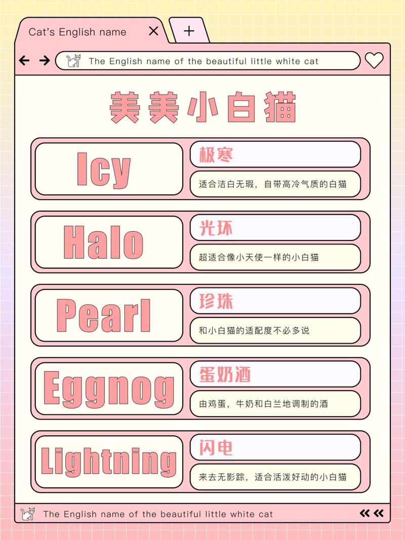 猫猫的英文名字,猫猫英文名字大全 三花猫-第4张图片-后鲨宠物 猫猫的英文名字,猫猫英文名字大全 三花猫-第4张图片-后鲨宠物