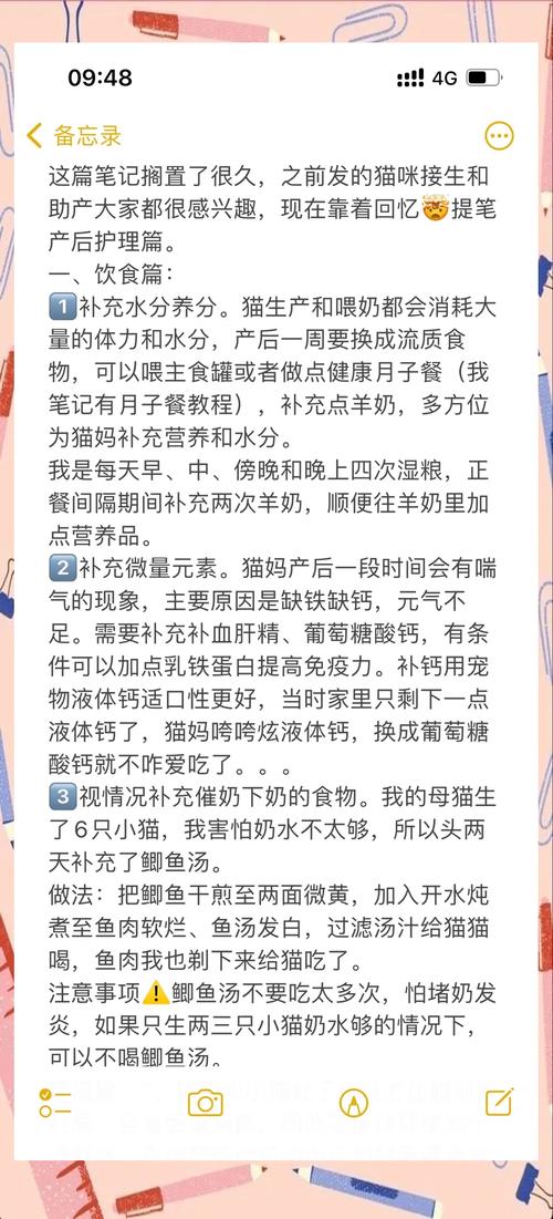 猫咪绝育后吃什么,猫咪绝育后吃什么补身体-第2张图片-后鲨宠物 猫咪绝育后吃什么,猫咪绝育后吃什么补身体-第2张图片-后鲨宠物
