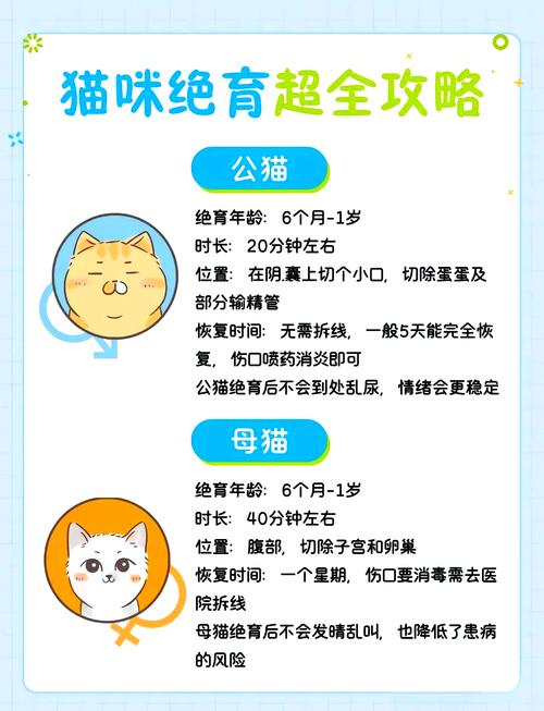 猫咪绝育后吃什么,猫咪绝育后吃什么补身体-第3张图片-后鲨宠物 猫咪绝育后吃什么,猫咪绝育后吃什么补身体-第3张图片-后鲨宠物