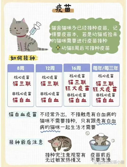 猫猫几个月打疫苗,猫几个月开始打预防针?-第1张图片-后鲨宠物 猫猫几个月打疫苗,猫几个月开始打预防针?-第1张图片-后鲨宠物