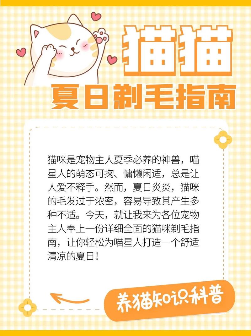 猫咪剪毛多少钱_小猫剪毛多少钱-第1张图片-后鲨宠物 猫咪剪毛多少钱_小猫剪毛多少钱-第1张图片-后鲨宠物