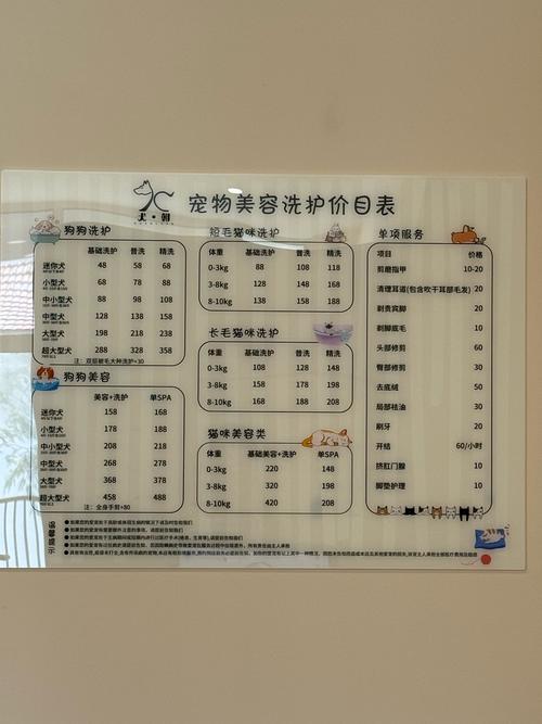 猫咪剪毛多少钱_小猫剪毛多少钱-第3张图片-后鲨宠物 猫咪剪毛多少钱_小猫剪毛多少钱-第3张图片-后鲨宠物