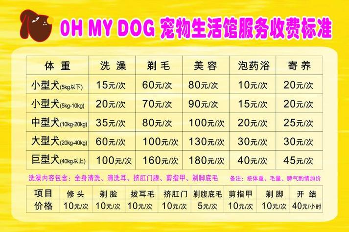 猫咪剪毛多少钱_小猫剪毛多少钱-第5张图片-后鲨宠物 猫咪剪毛多少钱_小猫剪毛多少钱-第5张图片-后鲨宠物