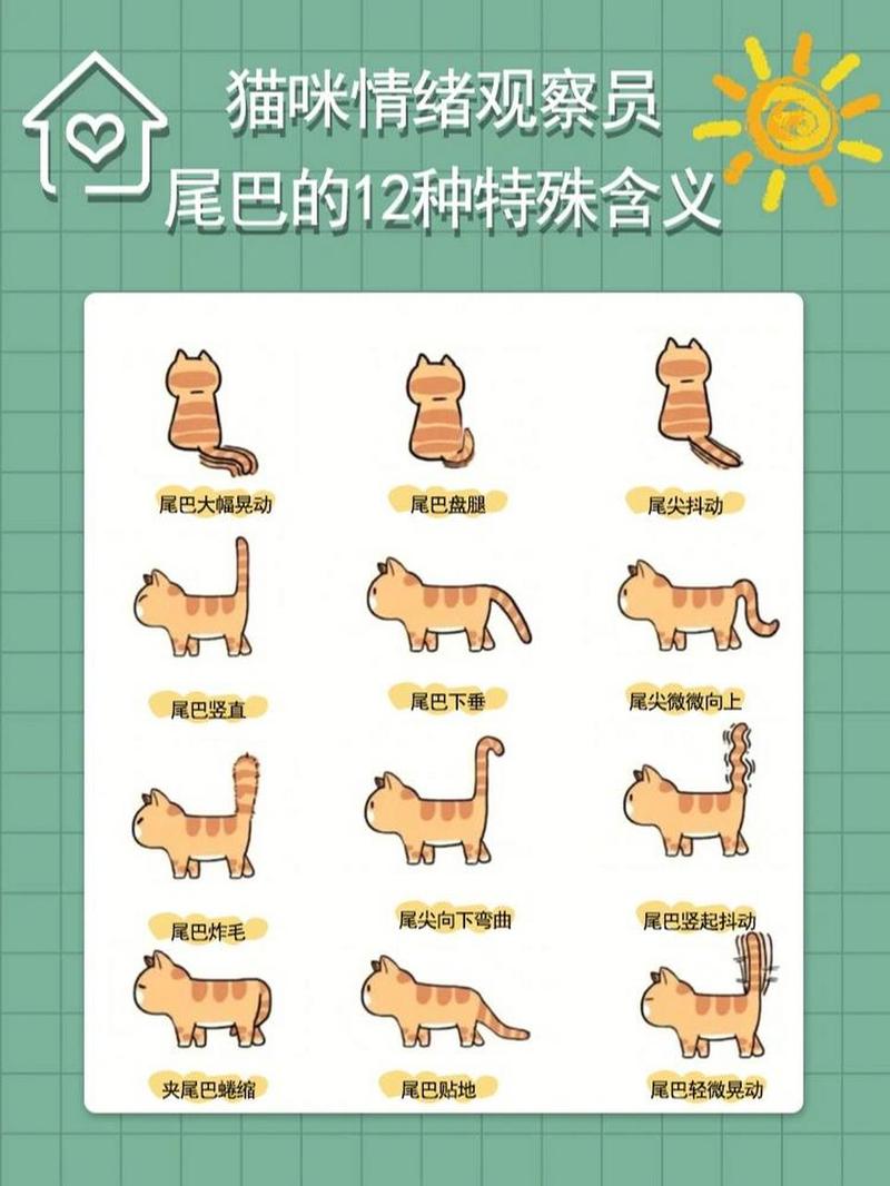 猫咪摇尾巴代表什么,猫摇尾巴是生气还是高兴-第1张图片-后鲨宠物 猫咪摇尾巴代表什么,猫摇尾巴是生气还是高兴-第1张图片-后鲨宠物