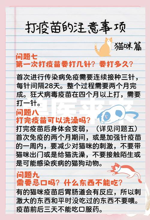 猫咪打疫苗前注意事项,猫咪打疫苗前注意事项和禁忌-第3张图片-后鲨宠物 猫咪打疫苗前注意事项,猫咪打疫苗前注意事项和禁忌-第3张图片-后鲨宠物