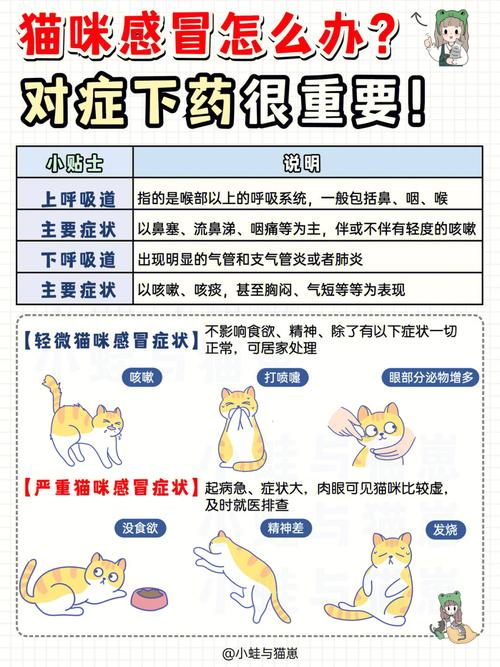  猫咪打完针后没精神，猫咪打完针后没精神站不起来-第3张图片-后鲨宠物