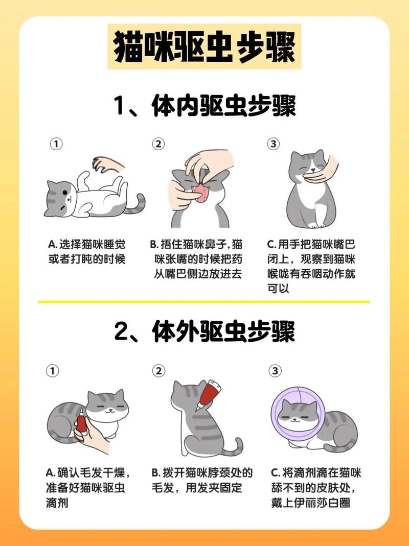 猫咪驱虫注意事项,猫咪驱虫期间注意事项?-第5张图片-后鲨宠物 猫咪驱虫注意事项,猫咪驱虫期间注意事项?-第5张图片-后鲨宠物