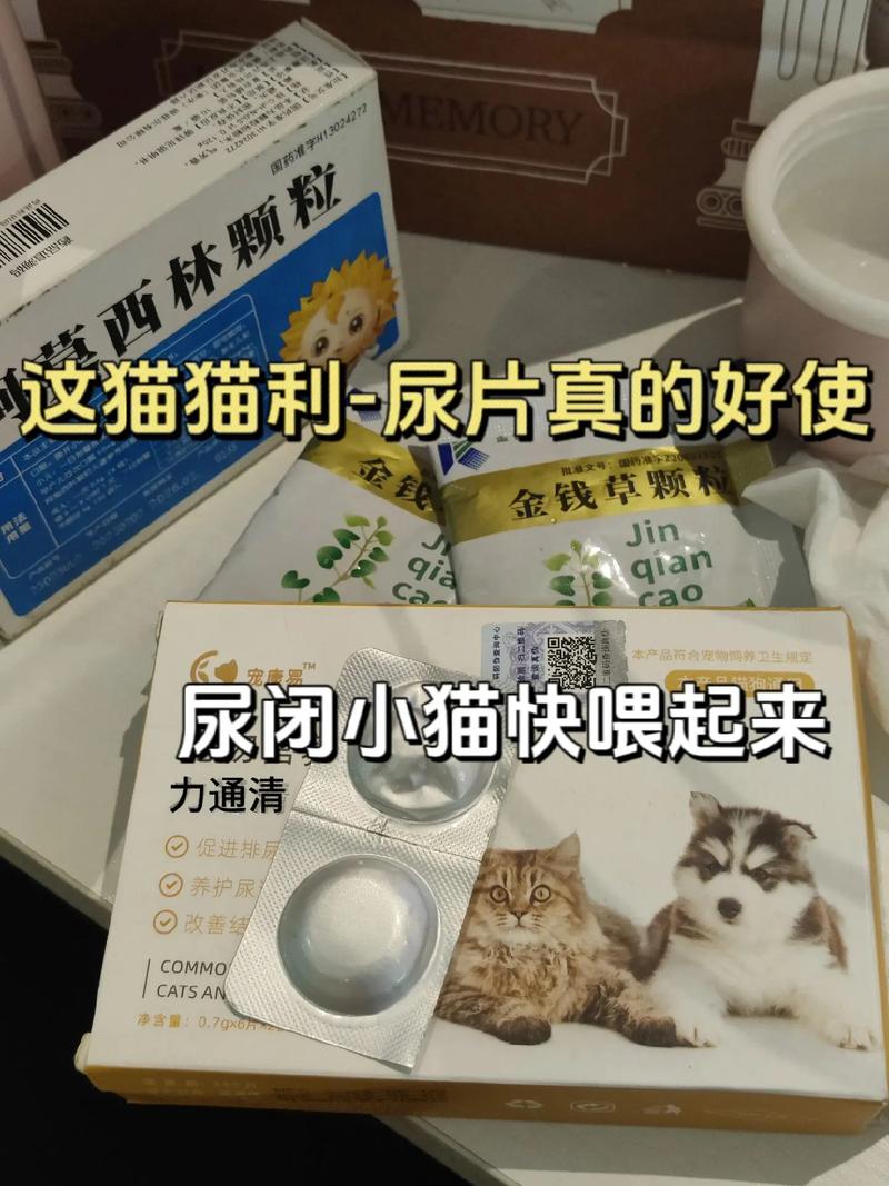 猫咪尿道感染吃什么药_猫咪尿道感染会自然恢复吗?-第4张图片-后鲨宠物 猫咪尿道感染吃什么药_猫咪尿道感染会自然恢复吗?-第4张图片-后鲨宠物