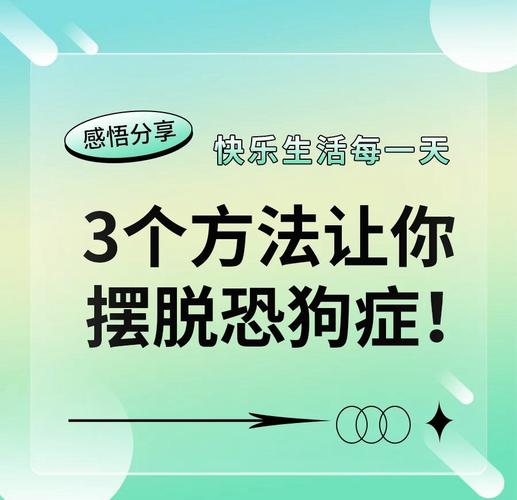 狗狗害怕出门怎么办_狗狗害怕外出怎么办-第6张图片-后鲨宠物 狗狗害怕出门怎么办_狗狗害怕外出怎么办-第6张图片-后鲨宠物
