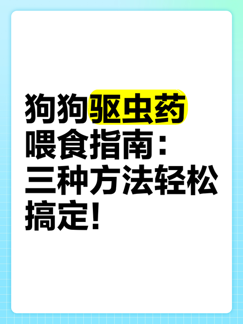 狗狗驱虫药吃多少,狗狗驱虫药吃多少片算过量?-第2张图片-后鲨宠物 狗狗驱虫药吃多少,狗狗驱虫药吃多少片算过量?-第2张图片-后鲨宠物