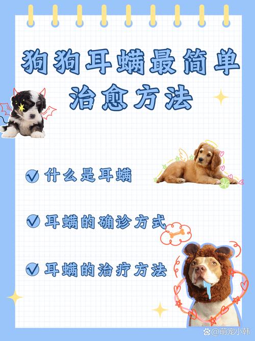 狗狗耳朵里有螨虫怎么办,狗狗耳朵里有虫螨图片?-第1张图片-后鲨宠物 狗狗耳朵里有螨虫怎么办,狗狗耳朵里有虫螨图片?-第1张图片-后鲨宠物