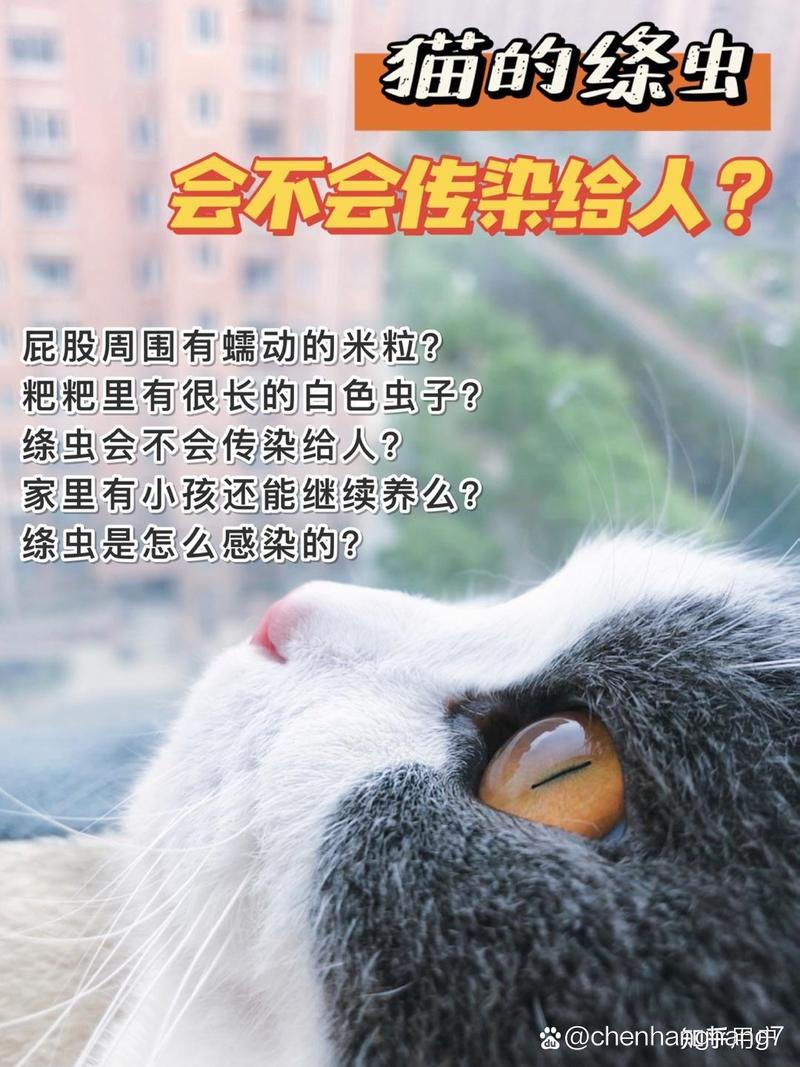 猫咪绦虫怎么治疗_猫咪绦虫治疗要吃几天药-第1张图片-后鲨宠物 猫咪绦虫怎么治疗_猫咪绦虫治疗要吃几天药-第1张图片-后鲨宠物