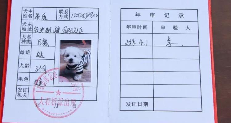 狗狗免疫证在哪办,狗狗免疫证办理-第1张图片-后鲨宠物 狗狗免疫证在哪办,狗狗免疫证办理-第1张图片-后鲨宠物