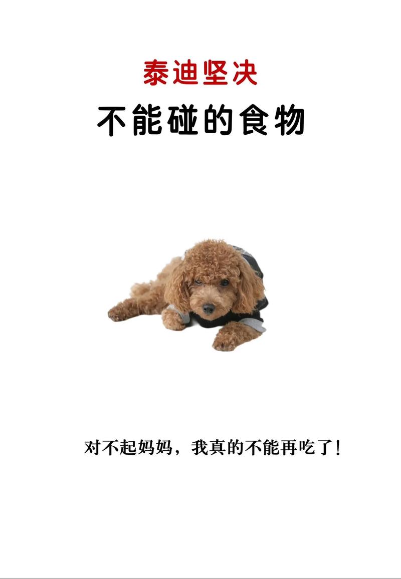 狗狗能吃苦瓜吗,狗狗能吃苦瓜吗有毒吗-第1张图片-后鲨宠物 狗狗能吃苦瓜吗,狗狗能吃苦瓜吗有毒吗-第1张图片-后鲨宠物