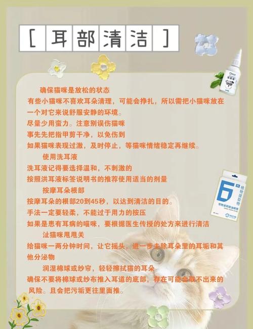怎么清洁猫咪耳朵_清洁猫咪耳朵的具体步骤-第5张图片-后鲨宠物