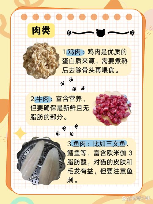 猫咪可以吃什么食物_猫咪可以吃什么食物?-第4张图片-后鲨宠物 猫咪可以吃什么食物_猫咪可以吃什么食物?-第4张图片-后鲨宠物