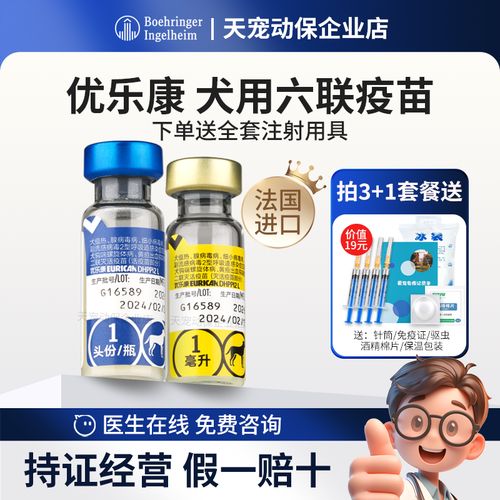 狗狗六联疫苗包括什么,狗狗六联疫苗预防什么疾病-第3张图片-后鲨宠物 狗狗六联疫苗包括什么,狗狗六联疫苗预防什么疾病-第3张图片-后鲨宠物