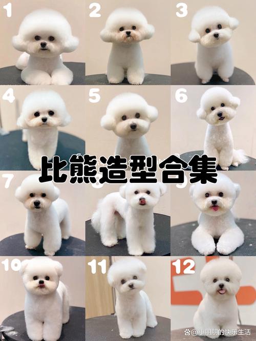 狗狗能喝酸牛奶吗,狗狗能喝酸奶不?-第1张图片-后鲨宠物 狗狗能喝酸牛奶吗,狗狗能喝酸奶不?-第1张图片-后鲨宠物