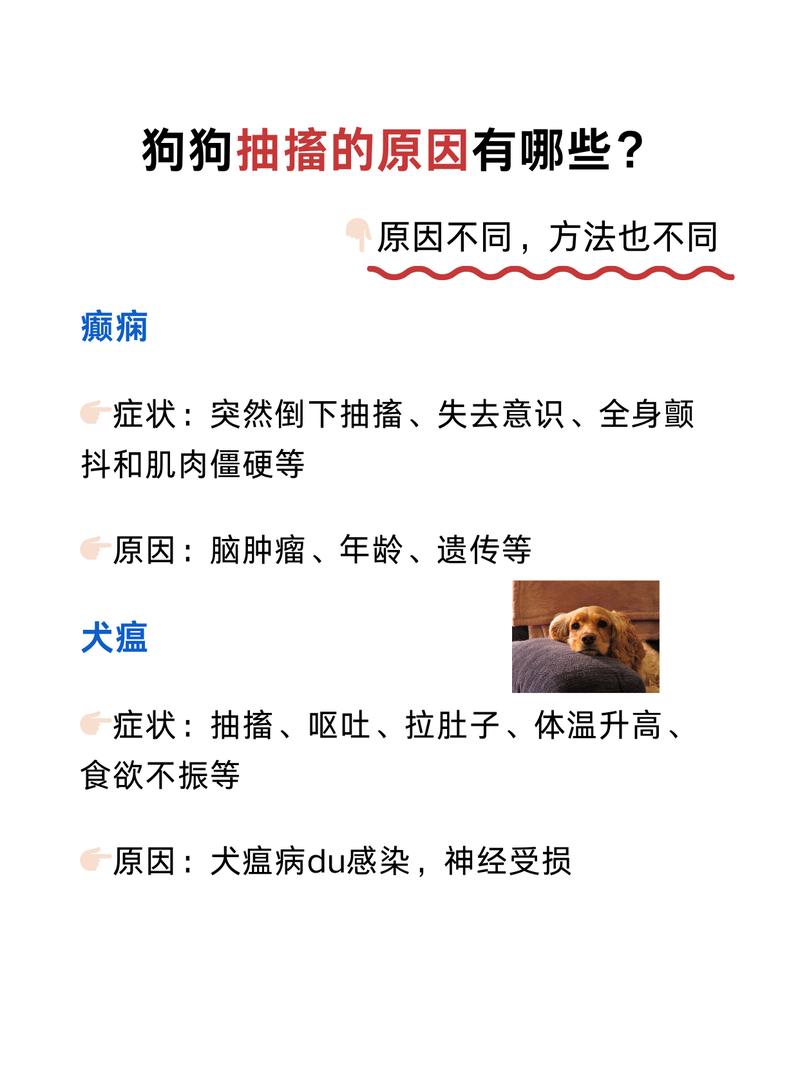 狗狗浑身抽搐怎么回事,狗狗身上抽搐?-第3张图片-后鲨宠物 狗狗浑身抽搐怎么回事,狗狗身上抽搐?-第3张图片-后鲨宠物