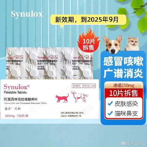 猫咪能吃什么消炎药_猫咪吃什么消炎药可以消除皮肤炎症-第3张图片-后鲨宠物 猫咪能吃什么消炎药_猫咪吃什么消炎药可以消除皮肤炎症-第3张图片-后鲨宠物