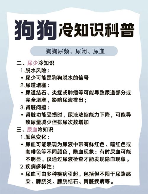 狗狗喝水多怎么回事_狗狗喝水喝的多是什么问题-第5张图片-后鲨宠物 狗狗喝水多怎么回事_狗狗喝水喝的多是什么问题-第5张图片-后鲨宠物