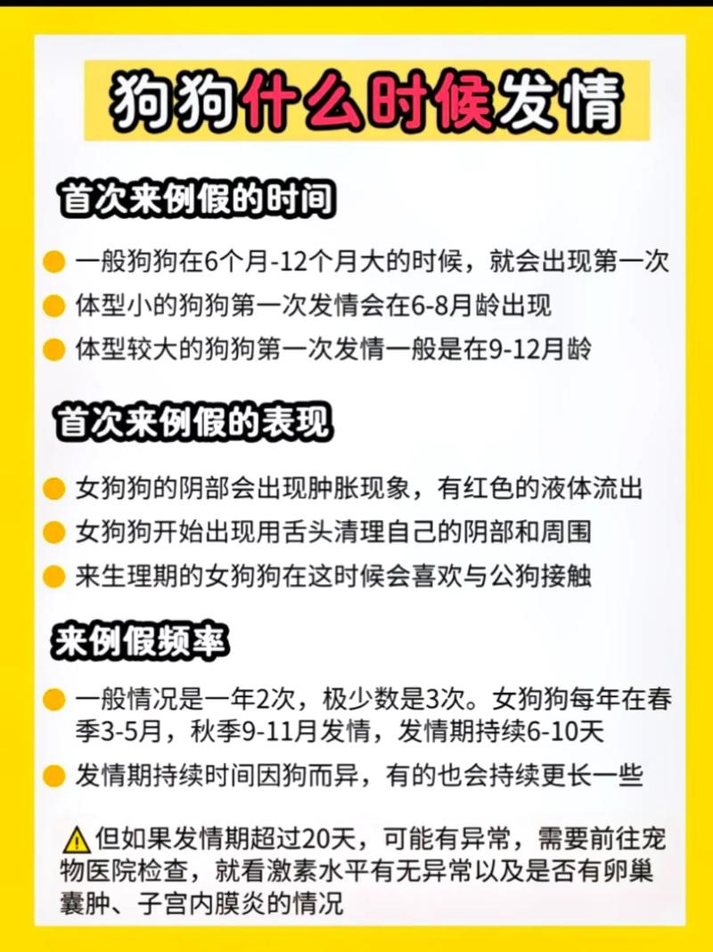 狗狗能记住主人多久_狗狗记得住人吗-第2张图片-后鲨宠物 狗狗能记住主人多久_狗狗记得住人吗-第2张图片-后鲨宠物