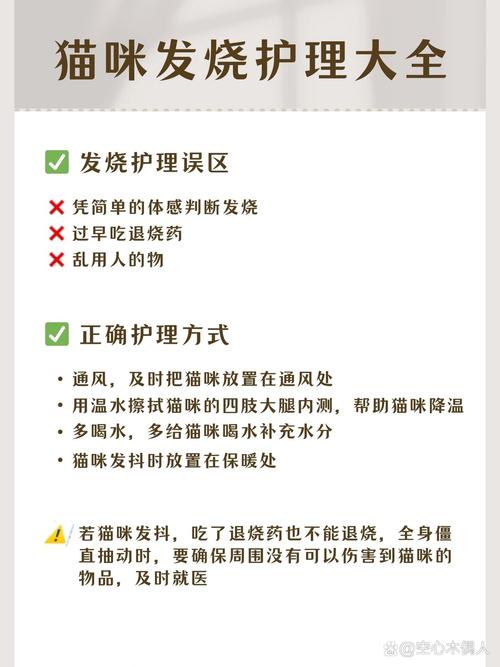 猫咪发烧怎么办,猫咪发烧怎么办吃什么药?-第2张图片-后鲨宠物 猫咪发烧怎么办,猫咪发烧怎么办吃什么药?-第2张图片-后鲨宠物