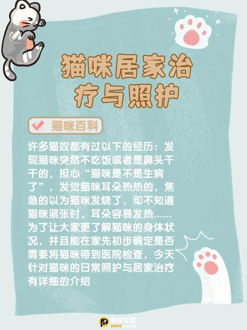 猫咪发烧怎么办,猫咪发烧怎么办吃什么药?-第5张图片-后鲨宠物 猫咪发烧怎么办,猫咪发烧怎么办吃什么药?-第5张图片-后鲨宠物