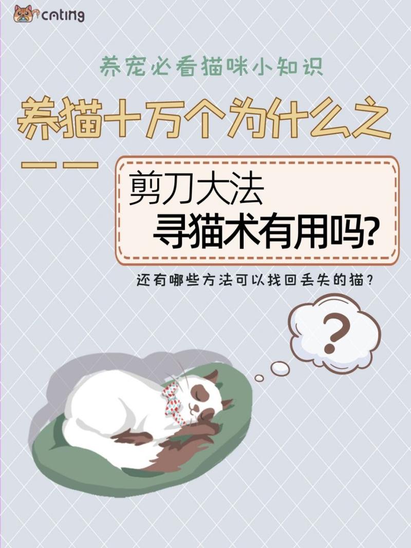 猫咪跑丢了怎么找_猫咪跑丢了怎么找最有效-第1张图片-后鲨宠物 猫咪跑丢了怎么找_猫咪跑丢了怎么找最有效-第1张图片-后鲨宠物