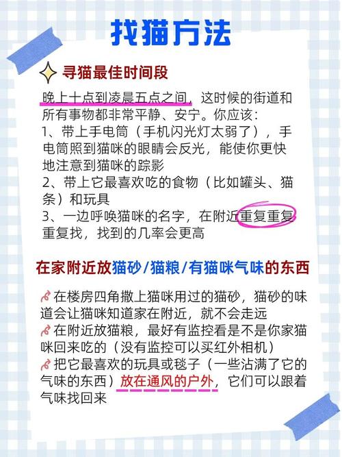 猫咪跑丢了怎么找_猫咪跑丢了怎么找最有效-第2张图片-后鲨宠物 猫咪跑丢了怎么找_猫咪跑丢了怎么找最有效-第2张图片-后鲨宠物
