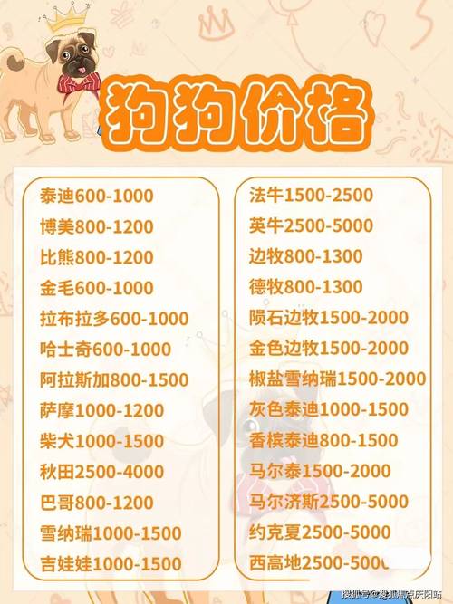 狗狗拍片子多少钱，狗子拍片需要多少钱？-第5张图片-后鲨宠物