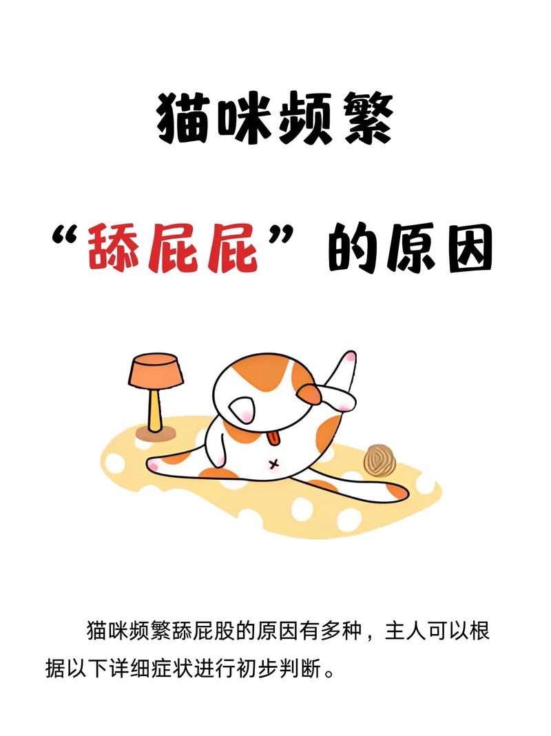 猫咪太胖怎么办,猫太胖了会引发什么病?-第5张图片-后鲨宠物 猫咪太胖怎么办,猫太胖了会引发什么病?-第5张图片-后鲨宠物