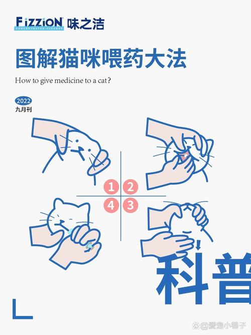 如何给猫咪喂药,如何给猫咪喂药药片胶囊篇-第6张图片-后鲨宠物 如何给猫咪喂药,如何给猫咪喂药药片胶囊篇-第6张图片-后鲨宠物