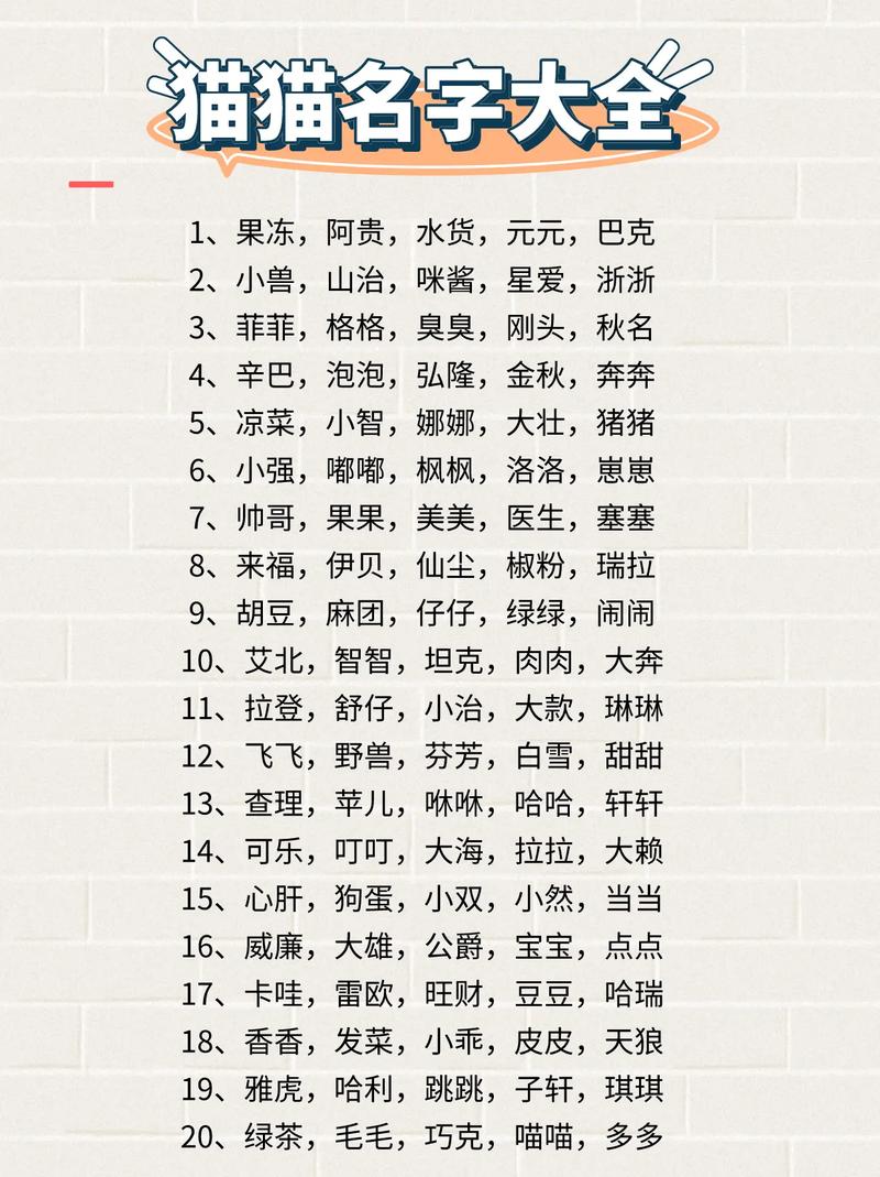 猫咪起什么名字好听,白色的猫咪取什么名字好听-第2张图片-后鲨宠物 猫咪起什么名字好听,白色的猫咪取什么名字好听-第2张图片-后鲨宠物