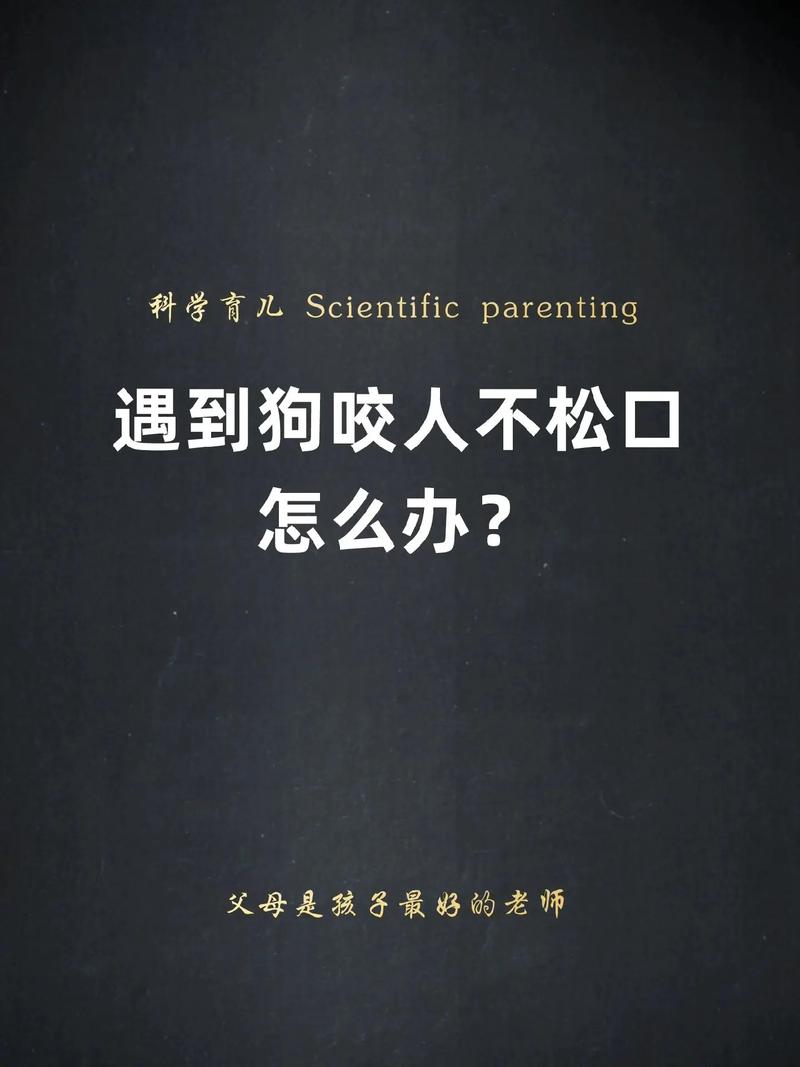 狗狗经常咬人怎么办,狗狗经常咬人怎么办??-第3张图片-后鲨宠物 狗狗经常咬人怎么办,狗狗经常咬人怎么办??-第3张图片-后鲨宠物