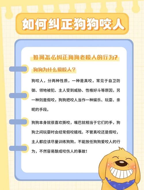 狗狗经常咬人怎么办,狗狗经常咬人怎么办??-第6张图片-后鲨宠物 狗狗经常咬人怎么办,狗狗经常咬人怎么办??-第6张图片-后鲨宠物