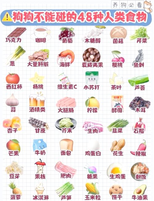 狗狗可以吃蒜苔吗,狗狗可以吃蒜苔吗熟的-第1张图片-后鲨宠物 狗狗可以吃蒜苔吗,狗狗可以吃蒜苔吗熟的-第1张图片-后鲨宠物