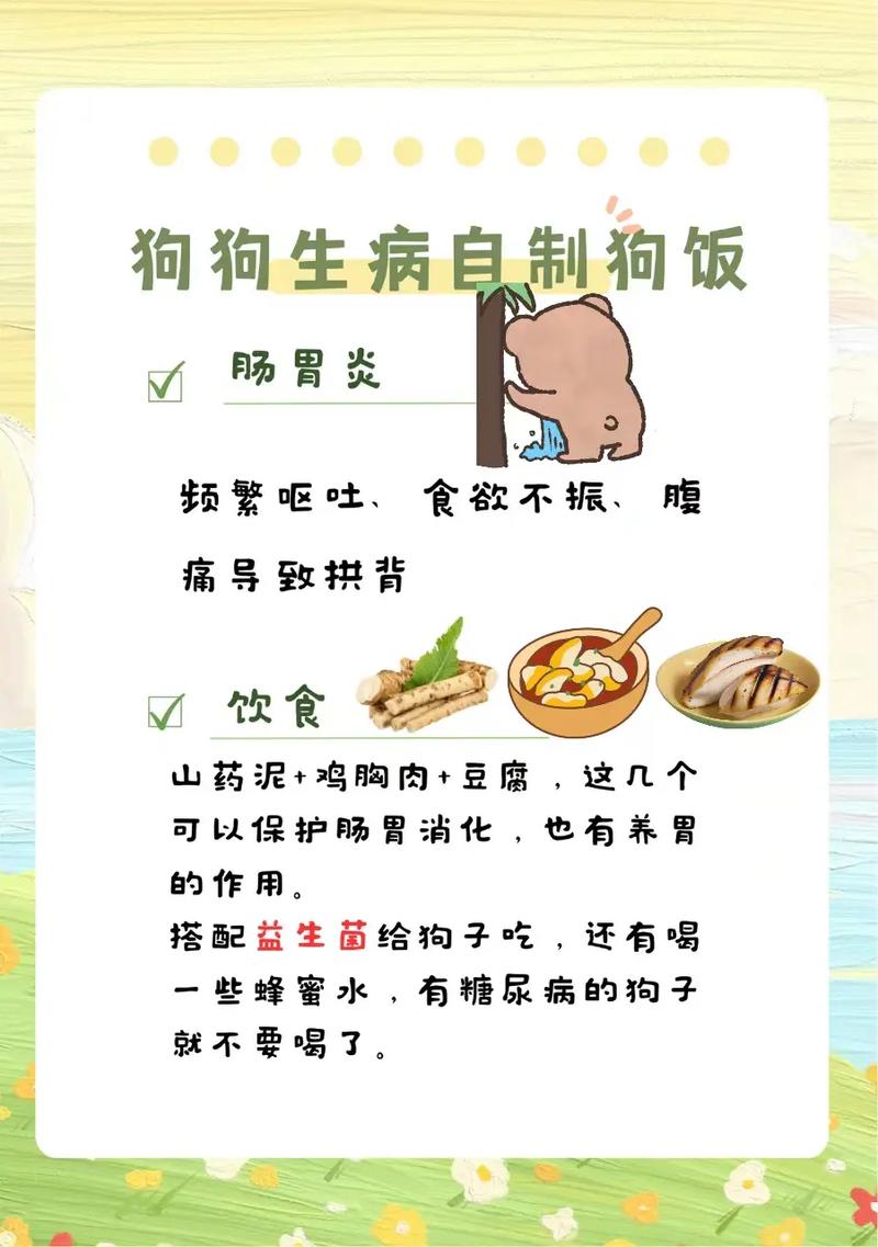 狗狗感冒了吃什么,狗狗感冒了吃什么药效果比较好?-第1张图片-后鲨宠物 狗狗感冒了吃什么,狗狗感冒了吃什么药效果比较好?-第1张图片-后鲨宠物