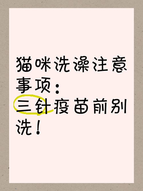 猫咪打针前能洗澡吗_猫咪打针前能洗澡吗冬天-第5张图片-后鲨宠物 猫咪打针前能洗澡吗_猫咪打针前能洗澡吗冬天-第5张图片-后鲨宠物