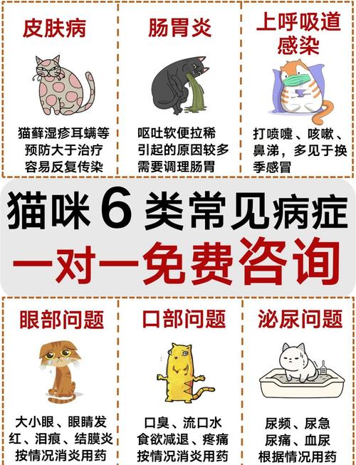 猫咪低血糖症状表现_猫咪低血糖怎么引起的-第1张图片-后鲨宠物 猫咪低血糖症状表现_猫咪低血糖怎么引起的-第1张图片-后鲨宠物